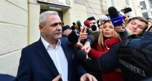 dragnea dna